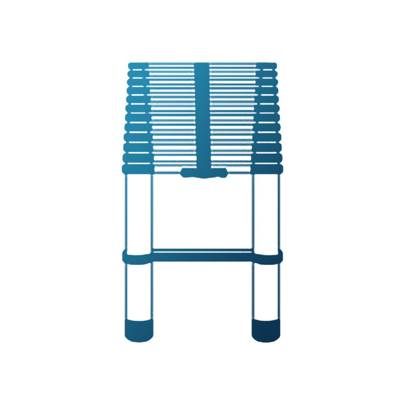 Telescopic Ladder